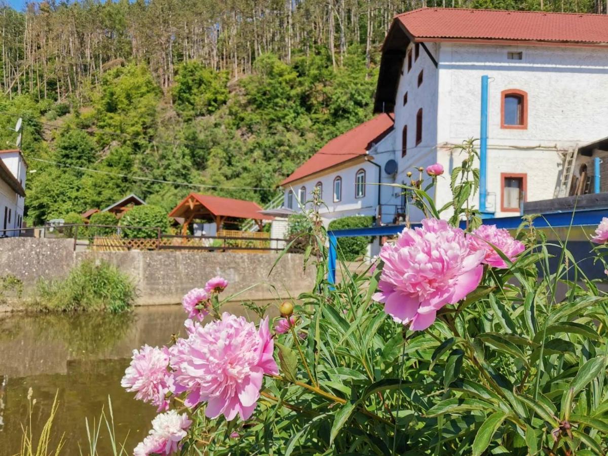 Ferienwohnung Cechuv Mlyn Hrebecniky Exterior foto